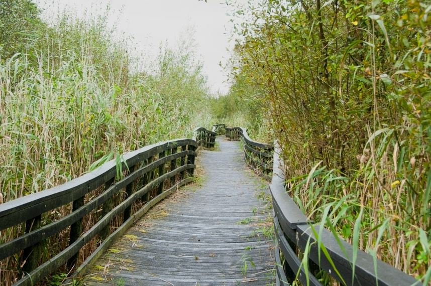 Nature trail